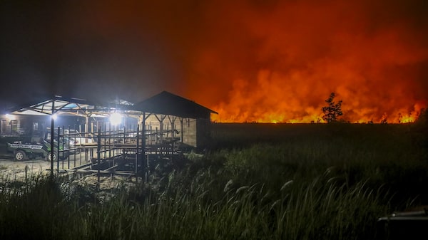 El fenómeno de El Niño alcanza una intensidad récord y amenaza la economía global El fenómeno de El Niño alcanza una intensidad récord y amenaza la economía global