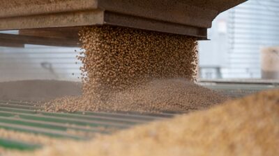 China eliminará aranceles de represalia a productos agrícolas estadounidenses China eliminará aranceles de represalia a productos agrícolas estadounidenses