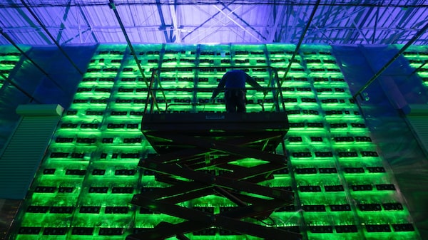 Caída del bitcoin pone a prueba la resiliencia de los mineros cripto Caída del bitcoin pone a prueba la resiliencia de los mineros cripto