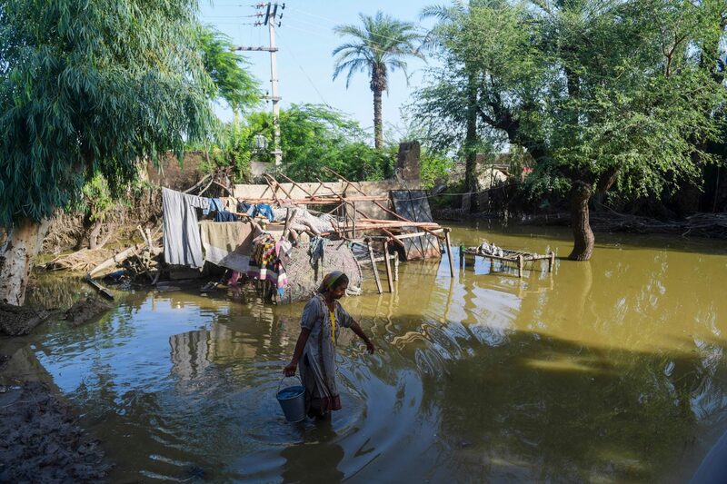 Una aldeana lleva un cubo de agua a su casa dañada por las inundaciones en las afueras de Sukkur, provincia de Sindh. Una aldeana lleva un cubo de agua a su casa dañada por las inundaciones en las afueras de Sukkur, provincia de Sindh.