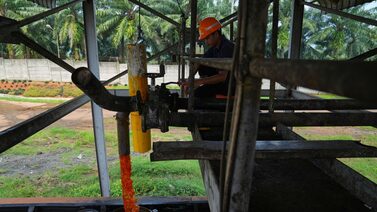 Los precios del aceite de palma suben tras el fortalecimiento del aceite de soja Los precios del aceite de palma suben tras el fortalecimiento del aceite de soja