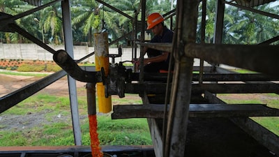 Los precios del aceite de palma suben tras el fortalecimiento del aceite de soja Los precios del aceite de palma suben tras el fortalecimiento del aceite de soja