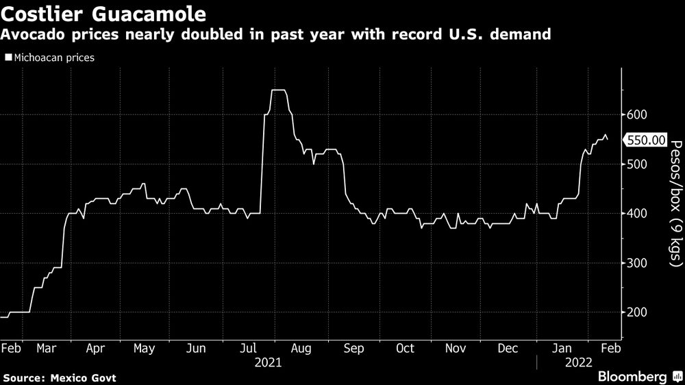 Los precios del aguacate se duplicaron el año pasado debido a un aumento récord de la demana en EE.UU. Los precios del aguacate se duplicaron el año pasado debido a un aumento récord de la demana en EE.UU.