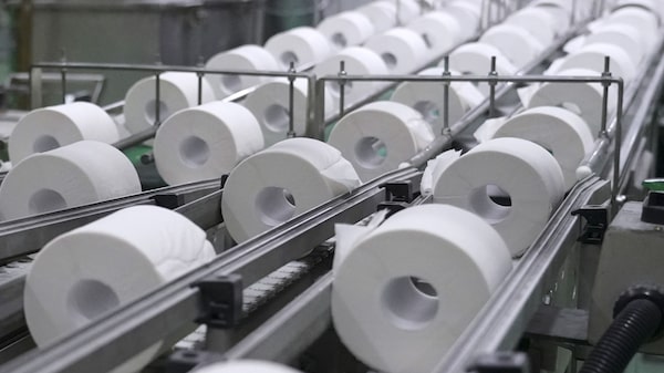 Suzano diz que vendas de papel higiênico à China afetaram demanda por celulose Suzano diz que vendas de papel higiênico à China afetaram demanda por celulose