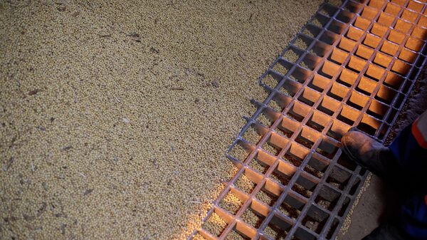 Diesel caro prejudica margens de exportação da Cargill no Brasil Diesel caro prejudica margens de exportação da Cargill no Brasil