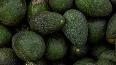 El fútbol universitario y el Cinco de Mayo impulsan las importaciones récord de aguacate en EE.UU. El fútbol universitario y el Cinco de Mayo impulsan las importaciones récord de aguacate en EE.UU.