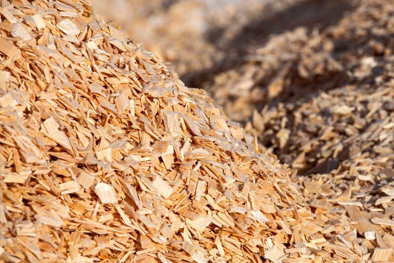 Astillas de madera en el patio de una fábrica de papel. Astillas de madera en el patio de una fábrica de papel.