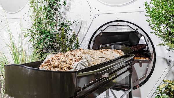 Polvo eres… ¿en abono te convertirás? Polvo eres… ¿en abono te convertirás?