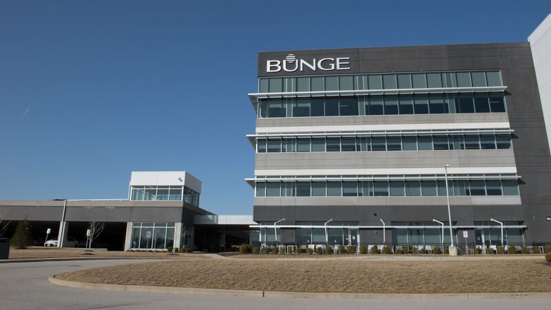 Bunge aposta em novo tipo de semente para energias renováveis com a biotech Moolec Bunge aposta em novo tipo de semente para energias renováveis com a biotech Moolec
