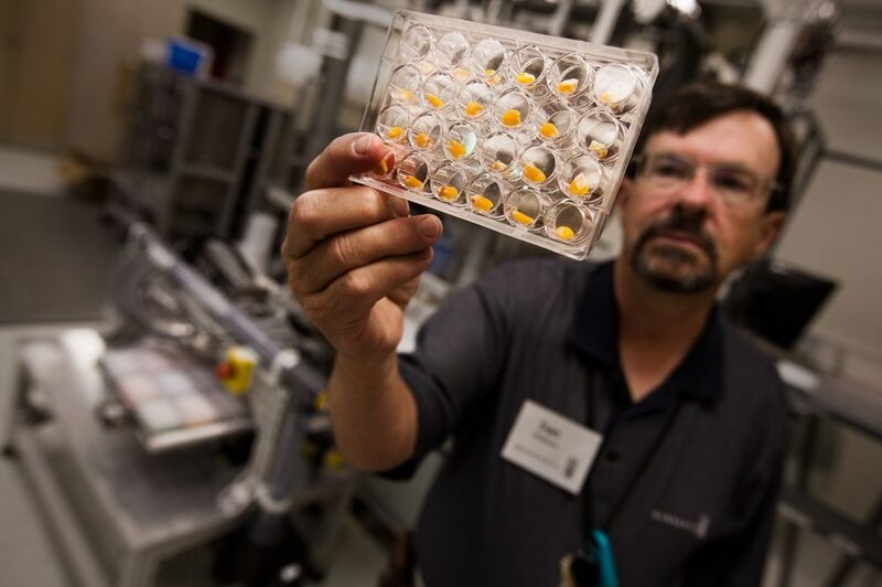 Fotófrafo: Brent Stirton/Getty Fotófrafo: Brent Stirton/Getty