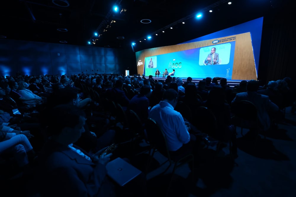 vaca muerta vaca muerta