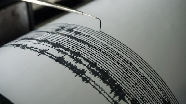 México registró un fuerte sismo de 6,5 que dejó daños materiales y al menos un deceso México registró un fuerte sismo de 6,5 que dejó daños materiales y al menos un deceso