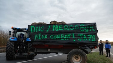 Parlamento da UE aprova medidas de proteção ao agro e mira acordo com o Mercosul Parlamento da UE aprova medidas de proteção ao agro e mira acordo com o Mercosul