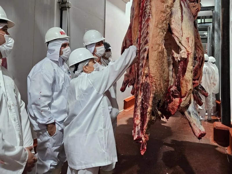 En una imagen referencial, visita técnica del Senacsa a un establecimiento frigorífico, el 29 de abril de 2024. En una imagen referencial, visita técnica del Senacsa a un establecimiento frigorífico, el 29 de abril de 2024.