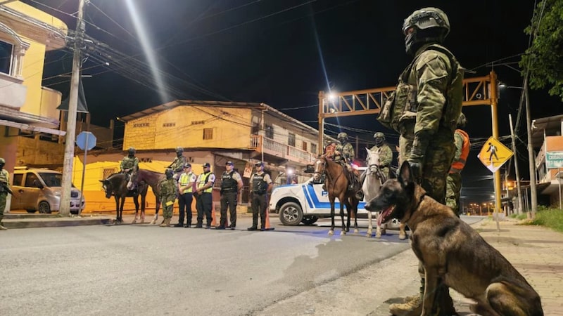 ¿Habrá nuevos toque de queda en Ecuador? Esto dice el Gobierno. ¿Habrá nuevos toque de queda en Ecuador? Esto dice el Gobierno.