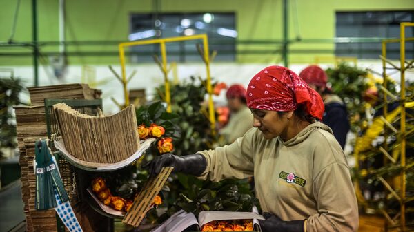 ¿Cuándo es el Día de la Madre en Ecuador y qué sectores incrementarán ventas? ¿Cuándo es el Día de la Madre en Ecuador y qué sectores incrementarán ventas?