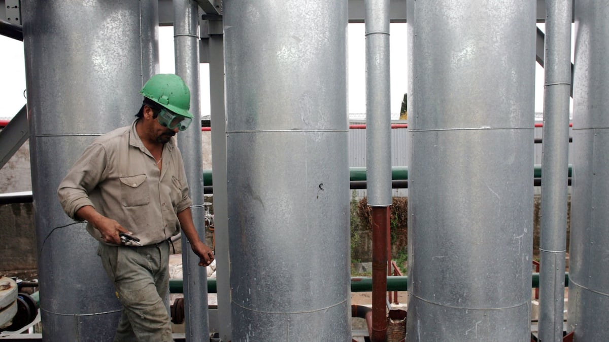 Ganadores y perdedores de la era Milei: así les fue a los distintos sectores de la industria