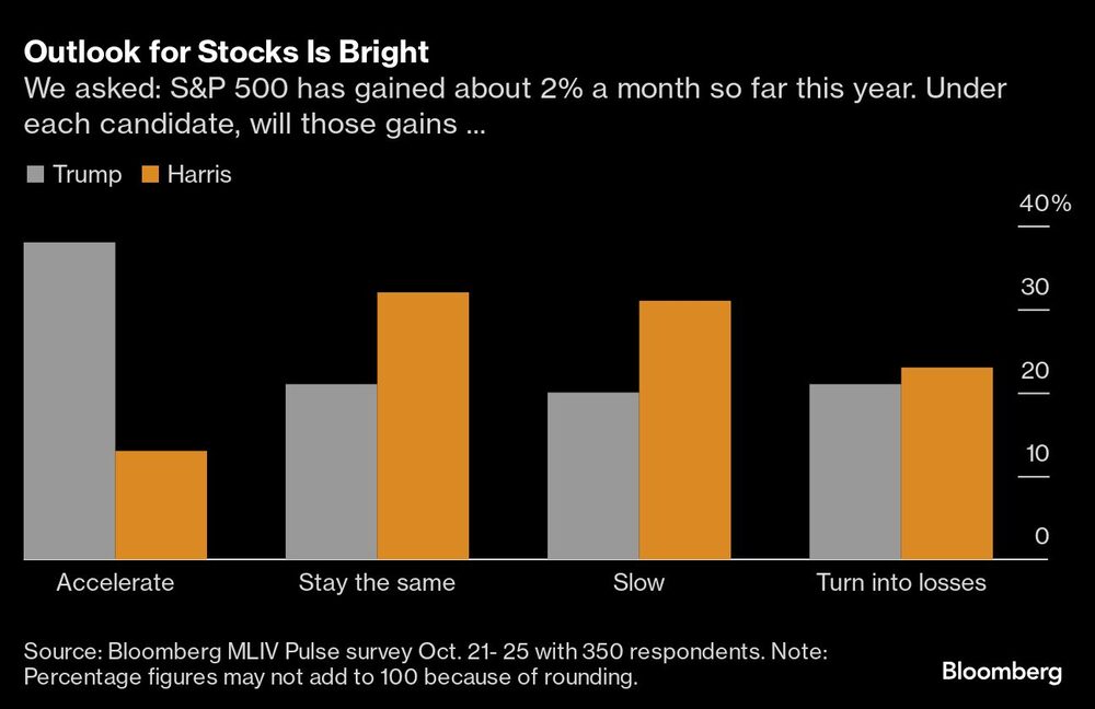Las perspectivas para las acciones son brillantes Las perspectivas para las acciones son brillantes