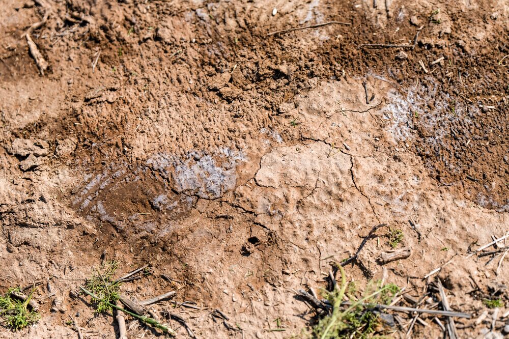 Solo danificado na China Solo danificado na China