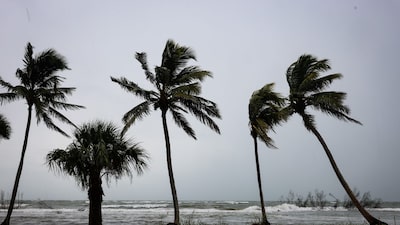 Coatlicue, la supercomputadora con la que México quiere prevenirse ante fenómenos meteorológicos extremos Coatlicue, la supercomputadora con la que México quiere prevenirse ante fenómenos meteorológicos extremos