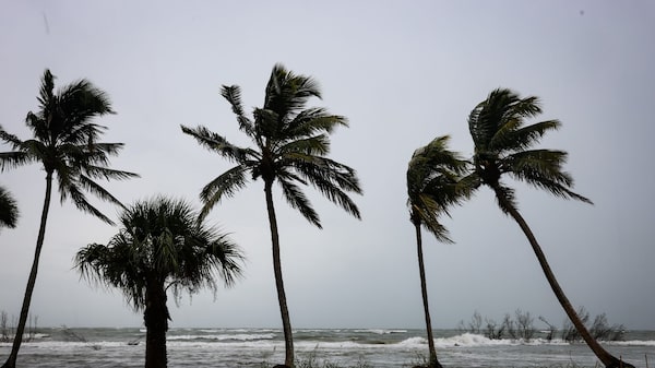 Coatlicue, la supercomputadora con la que México quiere prevenirse ante fenómenos meteorológicos extremos Coatlicue, la supercomputadora con la que México quiere prevenirse ante fenómenos meteorológicos extremos