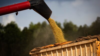 Como os investidores estão ganhando bilhões com as commodities Como os investidores estão ganhando bilhões com as commodities