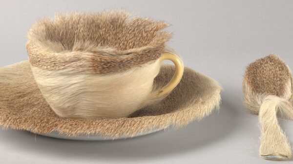 Estas son las mejores exposiciones de museos de Nueva York para visitar este invierno Estas son las mejores exposiciones de museos de Nueva York para visitar este invierno