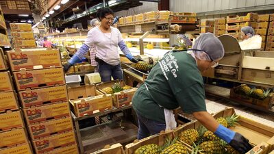 Preço do abacaxi pode se tornar próximo alvo de reclamações do consumidor nos EUA Preço do abacaxi pode se tornar próximo alvo de reclamações do consumidor nos EUA