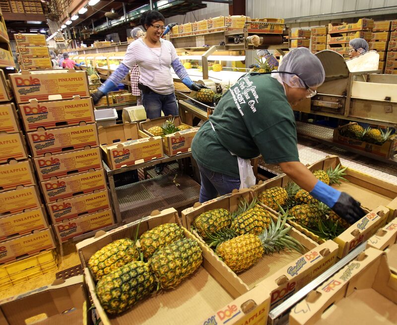 Os aumentos de preços são devidos a “pressões de commodities” e as tarifas de importação de Donald Trump não são um fator, de acordo com empresa (Foto: Tim Rue/Bloomberg)
Os aumentos de preços são devidos a “pressões de commodities” e as tarifas de importação de Donald Trump não são um fator, de acordo com empresa (Foto: Tim Rue/Bloomberg)