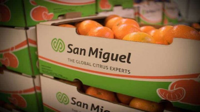 Empresa tucumana fundada hace 65 años Empresa tucumana fundada hace 65 años