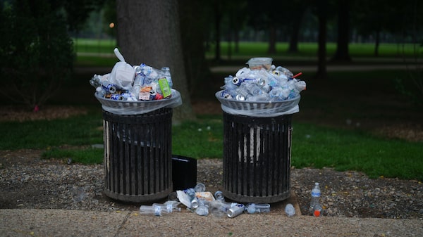 La mejor cobertura contra la IA: basura, literalmente La mejor cobertura contra la IA: basura, literalmente