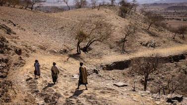 El Niño lleva a T. Rowe a proteger una cartera de US$165.000 millones en activos emergentes El Niño lleva a T. Rowe a proteger una cartera de US$165.000 millones en activos emergentes