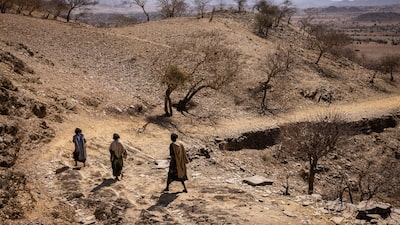 El Niño lleva a T. Rowe a proteger una cartera de US$165.000 millones en activos emergentes El Niño lleva a T. Rowe a proteger una cartera de US$165.000 millones en activos emergentes