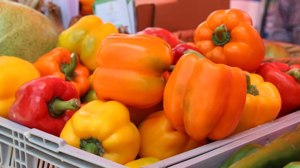 Estas son las frutas y verduras que más exportó Honduras a Estados Unidos Estas son las frutas y verduras que más exportó Honduras a Estados Unidos