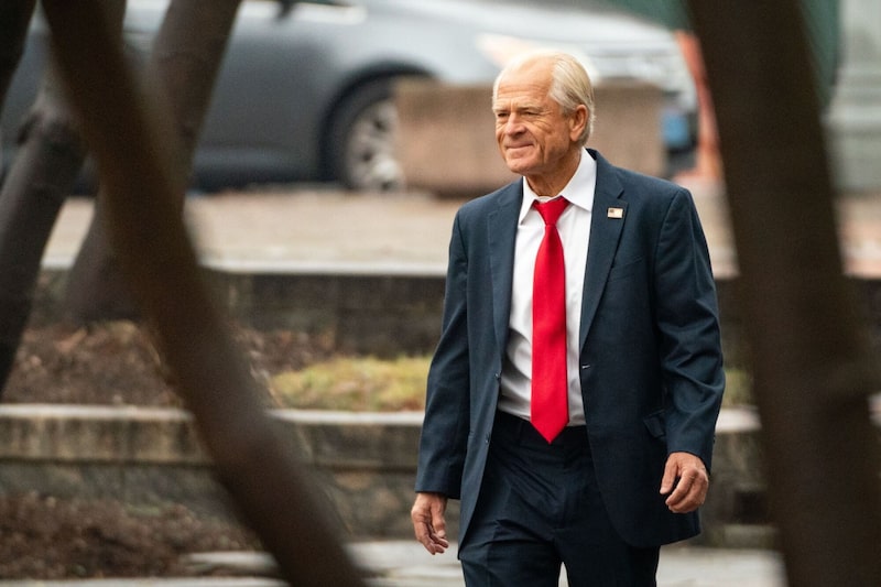 Peter Navarro - zar de los aranceles - Elon Musk - China Peter Navarro - zar de los aranceles - Elon Musk - China