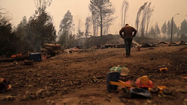 CMPC estima impacto financiero de US$56 millones por incendios en Chile CMPC estima impacto financiero de US$56 millones por incendios en Chile