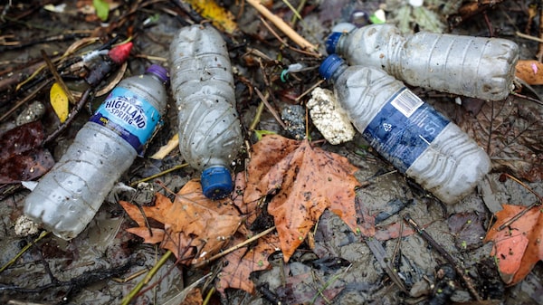 Una bacteria que consume plástico es una nueva esperanza para el reciclaje Una bacteria que consume plástico es una nueva esperanza para el reciclaje