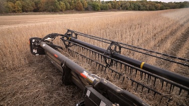 De seguros rurais a consórcios: o plano do BB para ‘virar a página' da crise do agro De seguros rurais a consórcios: o plano do BB para ‘virar a página' da crise do agro