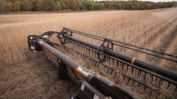 La soja cae más de un 3% por posible retraso de la reunión entre Donald Trum y Xi Jinping La soja cae más de un 3% por posible retraso de la reunión entre Donald Trum y Xi Jinping