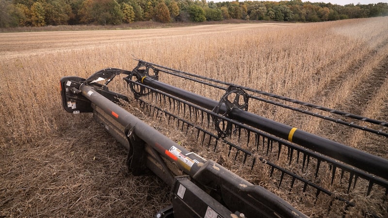 De seguros rurais a consórcios: o plano do BB para ‘virar a página' da crise do agro De seguros rurais a consórcios: o plano do BB para ‘virar a página' da crise do agro