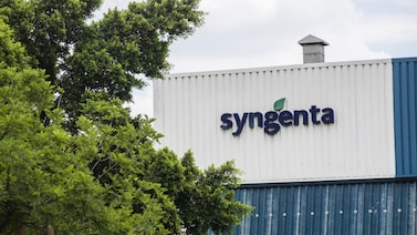 Syngenta começa a escolher bancos para IPO em Hong Kong, dizem fontes Syngenta começa a escolher bancos para IPO em Hong Kong, dizem fontes