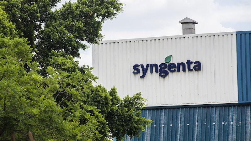Gigante mundial de sementes, Syngenta planeja seguir em frente com IPO Gigante mundial de sementes, Syngenta planeja seguir em frente com IPO
