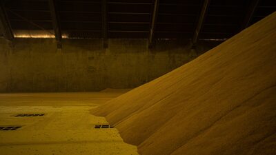 Bunge desvía un barco con harina de soja argentina con destino a China Bunge desvía un barco con harina de soja argentina con destino a China