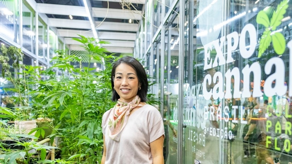 Do estigma ao bilhão: como o agro pode estimular a regulação da cannabis no Brasil