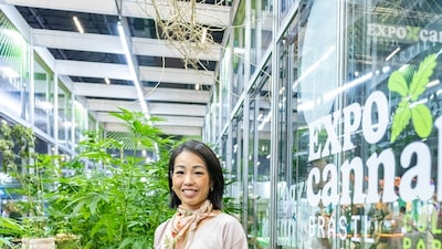 Do estigma ao bilhão: como o agro pode estimular a regulação da cannabis no Brasil Do estigma ao bilhão: como o agro pode estimular a regulação da cannabis no Brasil