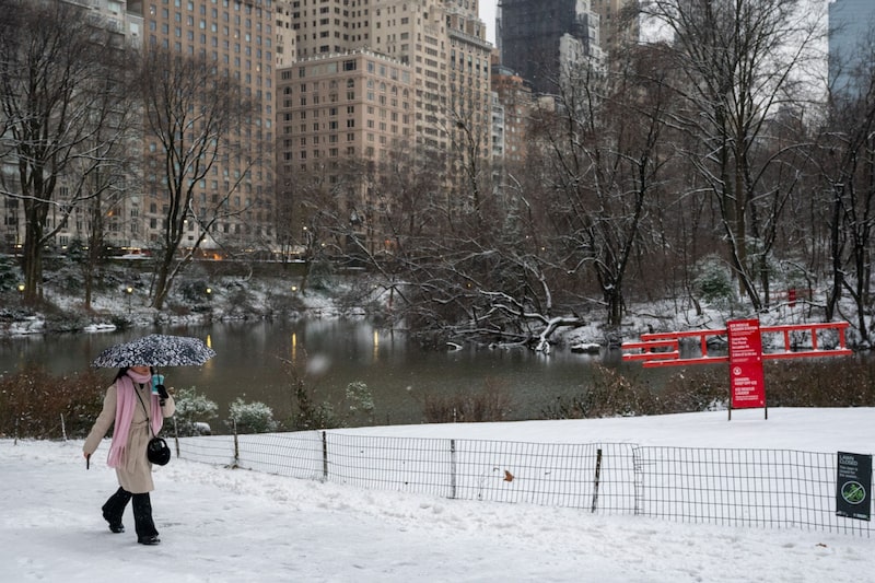Un peatón en Central Park durante una tormenta de nieve en Nueva York, EE.UU., el martes 16 de enero de 2024. Un peatón en Central Park durante una tormenta de nieve en Nueva York, EE.UU., el martes 16 de enero de 2024.