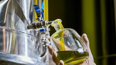 Do campo ao lagar: como nasce um azeite premium no interior de Minas Gerais Do campo ao lagar: como nasce um azeite premium no interior de Minas Gerais