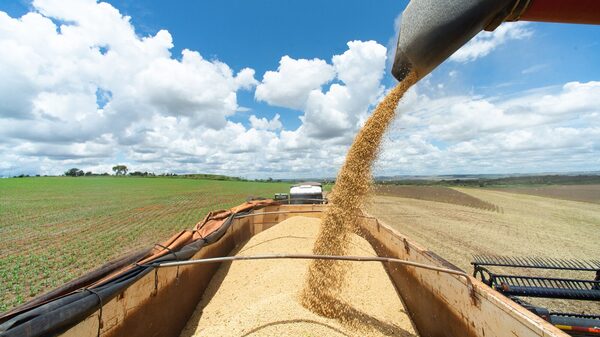 Un sorpresivo cambio fiscal trastorna el comercio en la potencia agrícola de Brasil Un sorpresivo cambio fiscal trastorna el comercio en la potencia agrícola de Brasil
