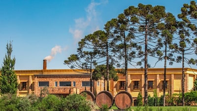 ‘Doce e simples’: vinho mais vendido do país desafia preconceitos e fatura R$ 500 mi ‘Doce e simples’: vinho mais vendido do país desafia preconceitos e fatura R$ 500 mi