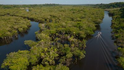 Noruega promete US$ 3 bilhões para fundo florestal do Brasil, mas impõe condições Noruega promete US$ 3 bilhões para fundo florestal do Brasil, mas impõe condições